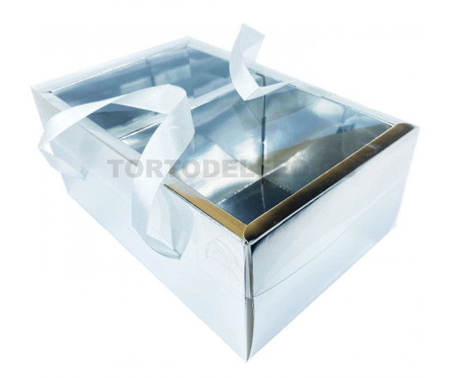 Коробка 23*15*10см Серебро с пластиковой крышкой